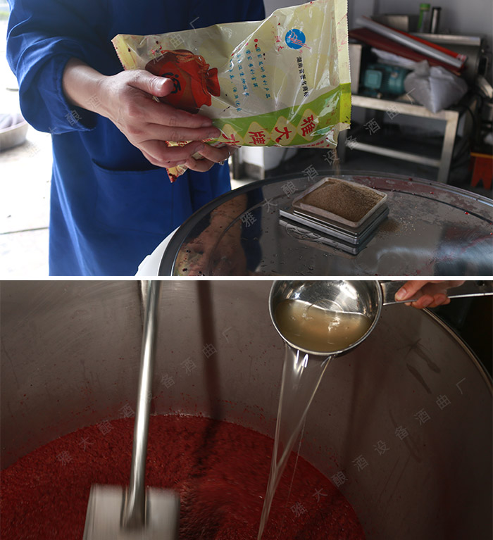 酒厂桑葚酒酿造工艺流程,山江酒业酿酒设备生产和技术培训