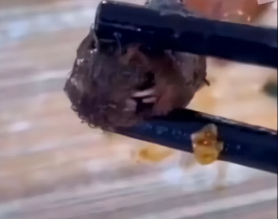 闹大了！“老鼠头事件”，教育厅出马，会不会有人已经瑟瑟发抖？