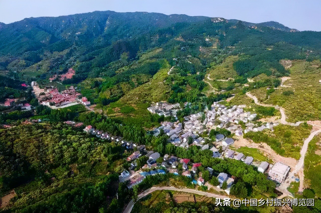 全国高校乡村振兴活动案例,乡村振兴巾帼行动优秀案例