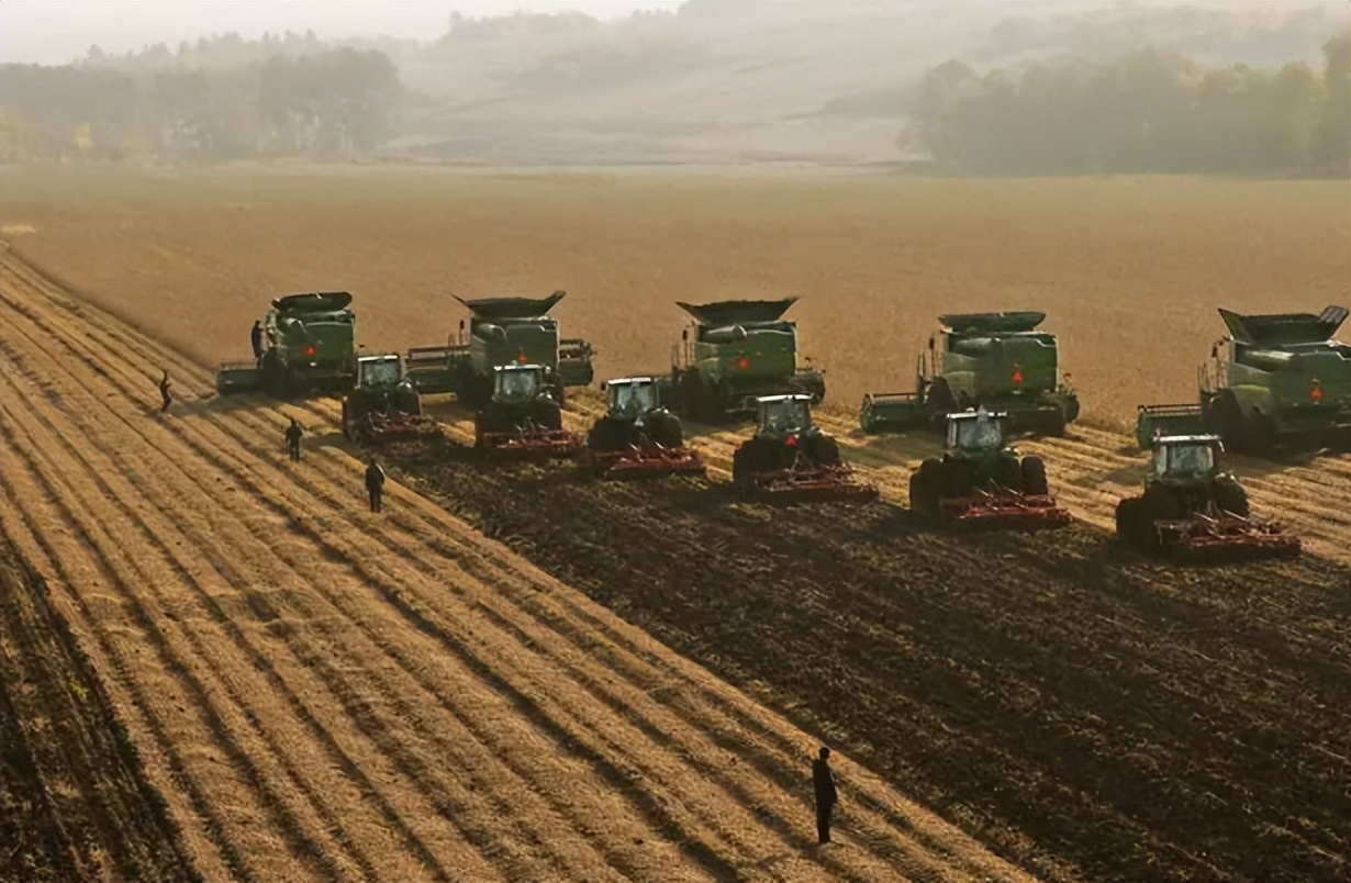 北大荒垦荒什么时候开始的,北大荒退耕还荒原因
