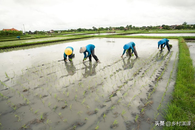 全面推行家庭农场一码通管理服务,家庭农场最新政策和创办指南