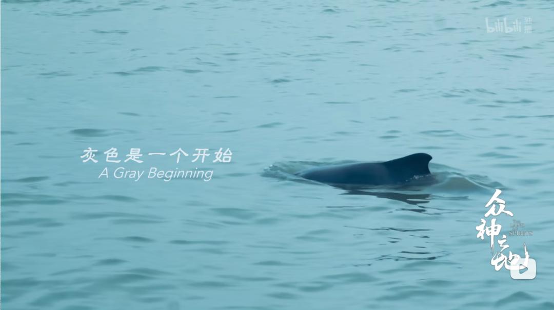 百万粉丝女网红“吃播”后被封杀,网友怒了:别让孩子毁于无知