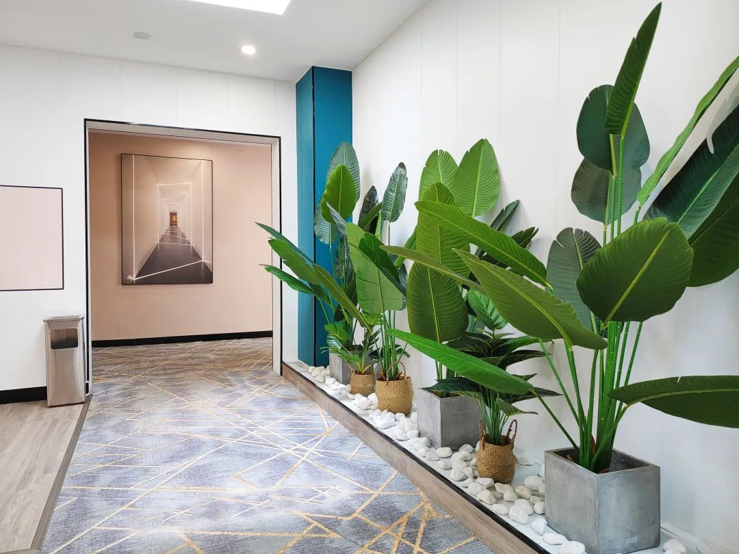 舌尖上的酒店菜品,舌尖上的酒店美食视频