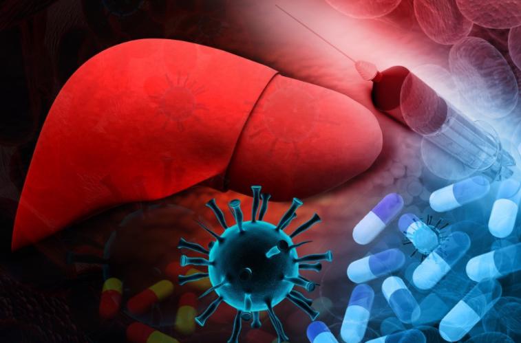 转氨酶容易升高的人注意哪些,转氨酶170左右怎么护肝降低转氨酶