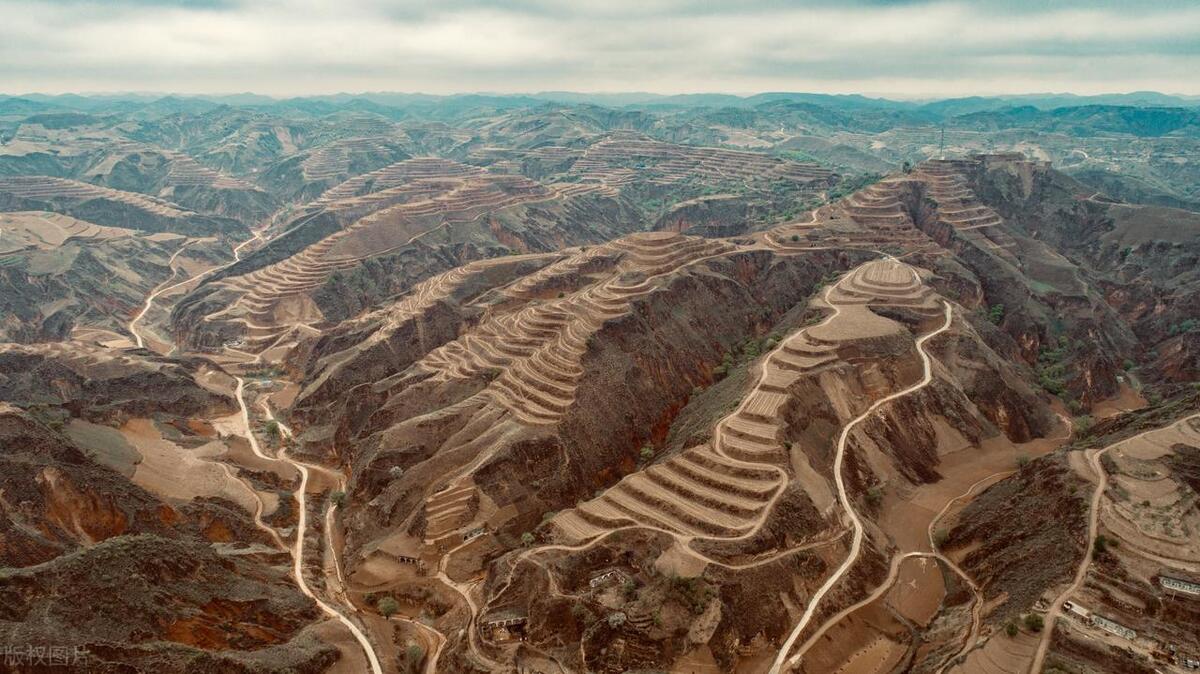 中国杂粮之乡兴县,兴县有机杂粮