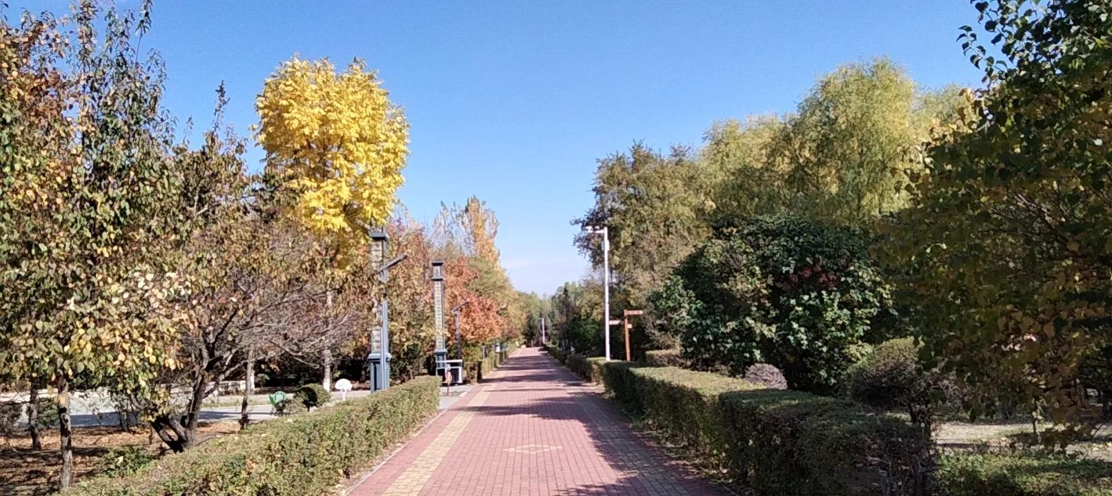 亲友群名片背景,家庭群名片