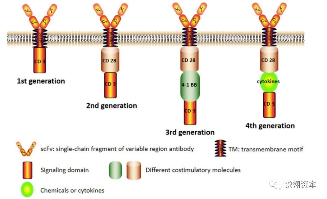 行研深度报告,行研报告范文