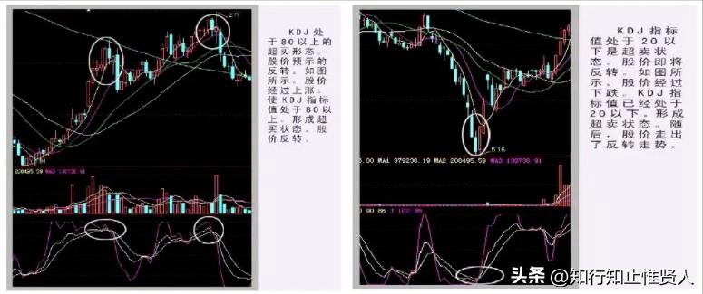 学到极致是什么意思,学到极致便是沧海一粟
