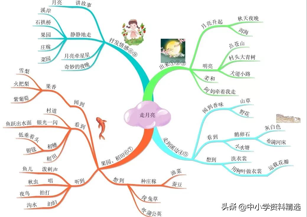 怎么画思维导图语文四年级上册,四年级思维导图语文简单漂亮上册