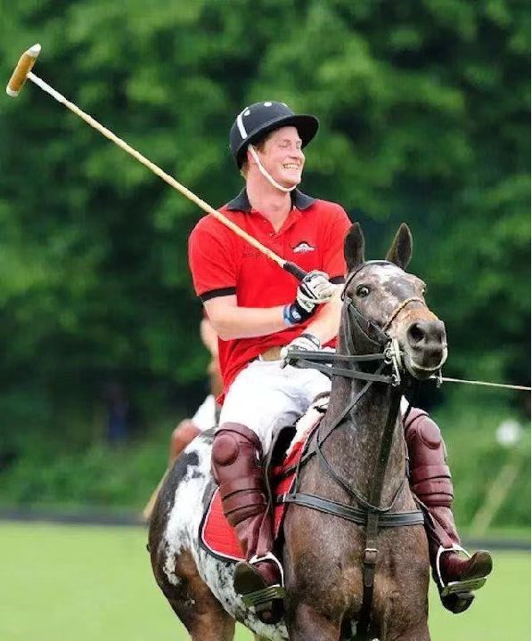 海澜之家百搭polo衫,男士加绒百搭polo衫