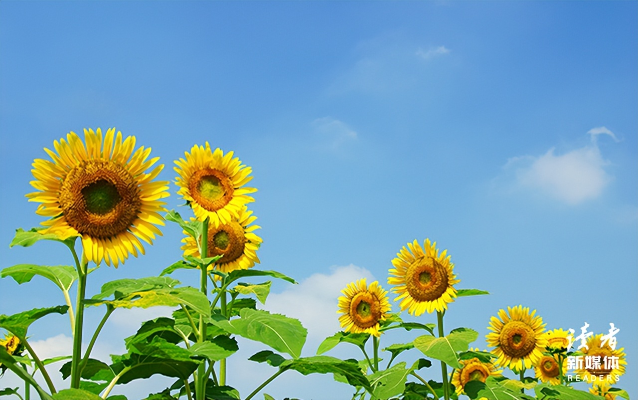 人生与父母是一场修行,和父母和解是一生的修行