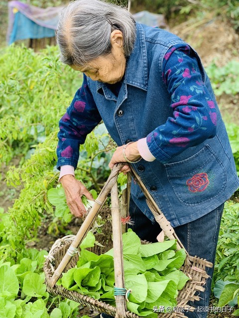 梅西为什么能多次变向,梅西十大庆祝动作