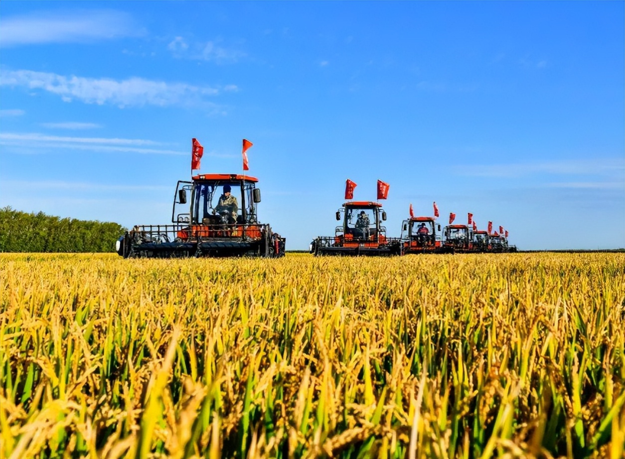 北大荒垦荒什么时候开始的,北大荒退耕还荒原因