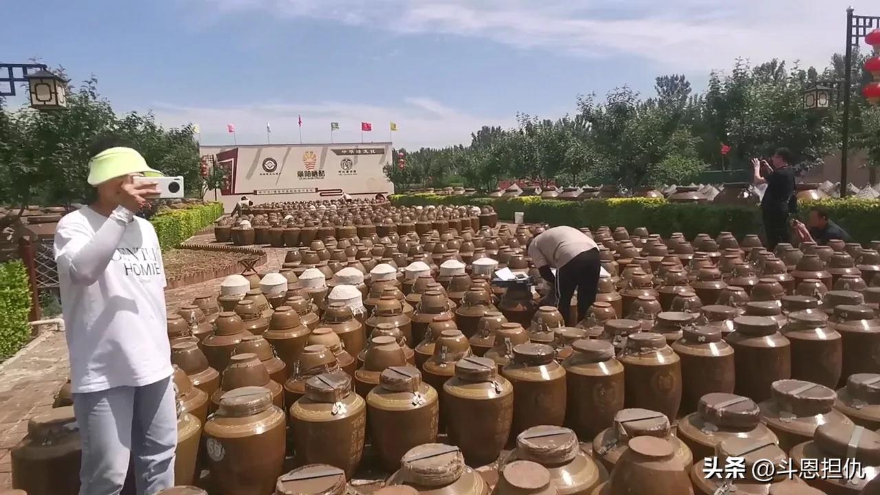 石家庄丽阳硒醋石家庄有卖的吗,河北丽阳晒醋