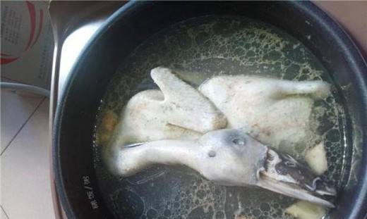 白斩鸭的做法大全家常简单,白斩鸭水煮技巧