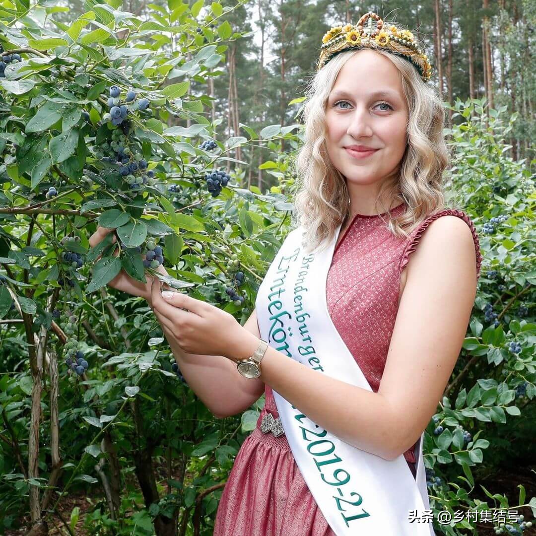 寰峰浗鑺︾瑡鍐滃満,鍏嬭幈鏂墭鑺︾瑡浣撻獙