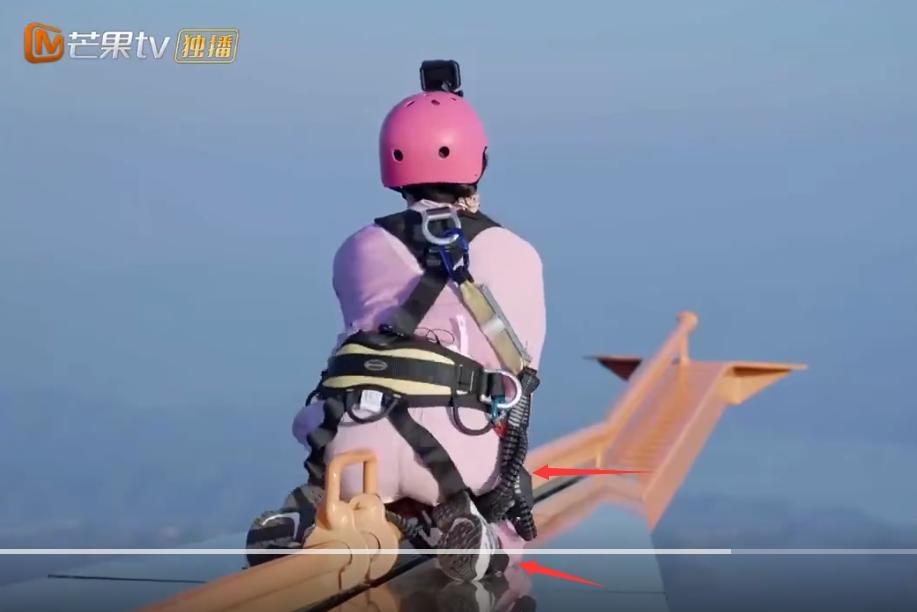 郑钧评价苗苗扮猪吃老虎,苗苗评价郑钧刘芸