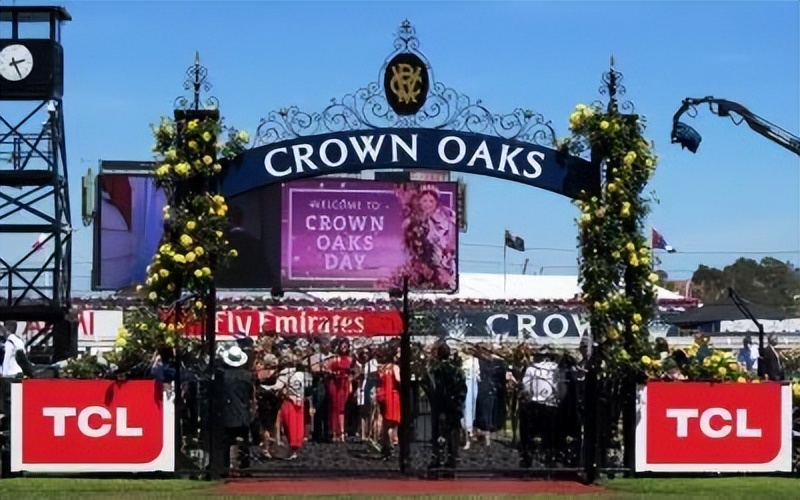 原来，茅台、TCL、三一重工……早成了国外赛马的“资深玩家”