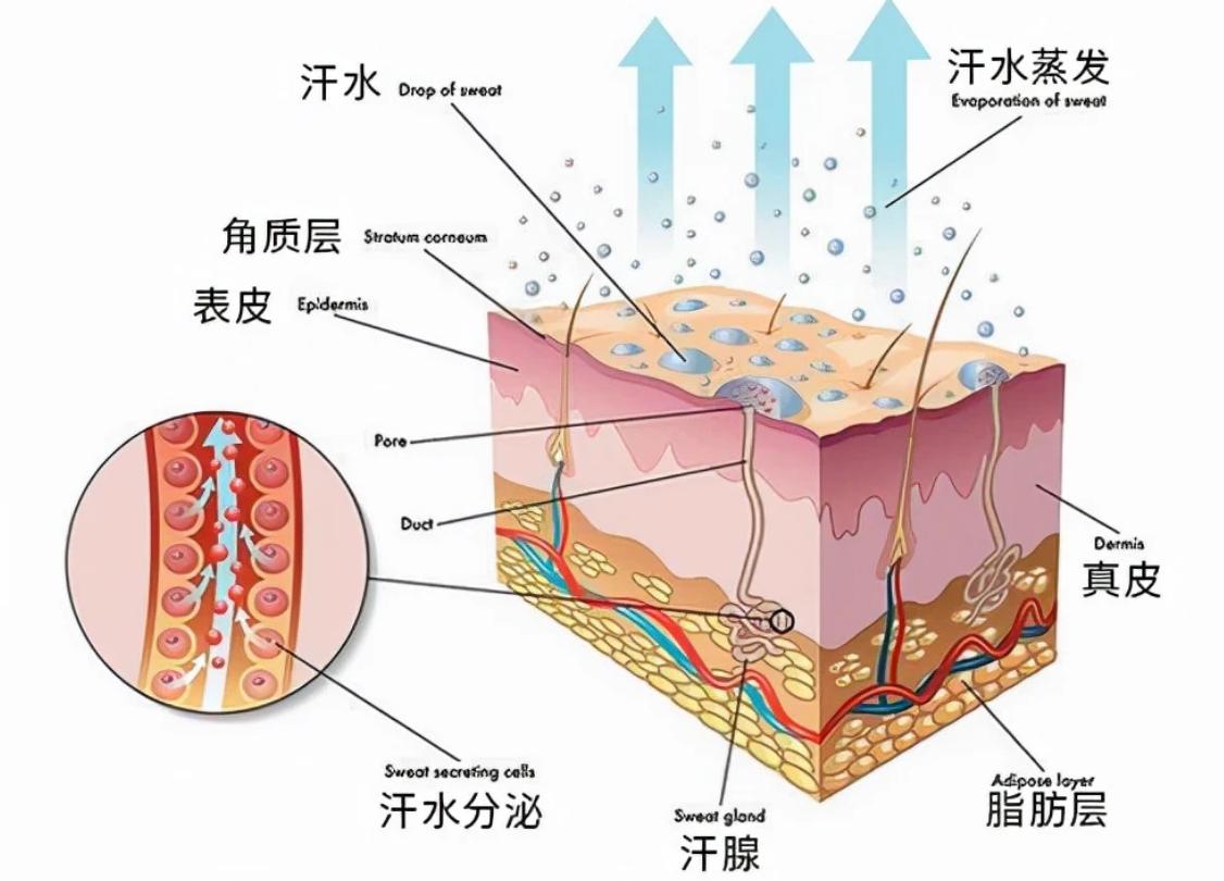 月经会传染怎么回事,月经会传染