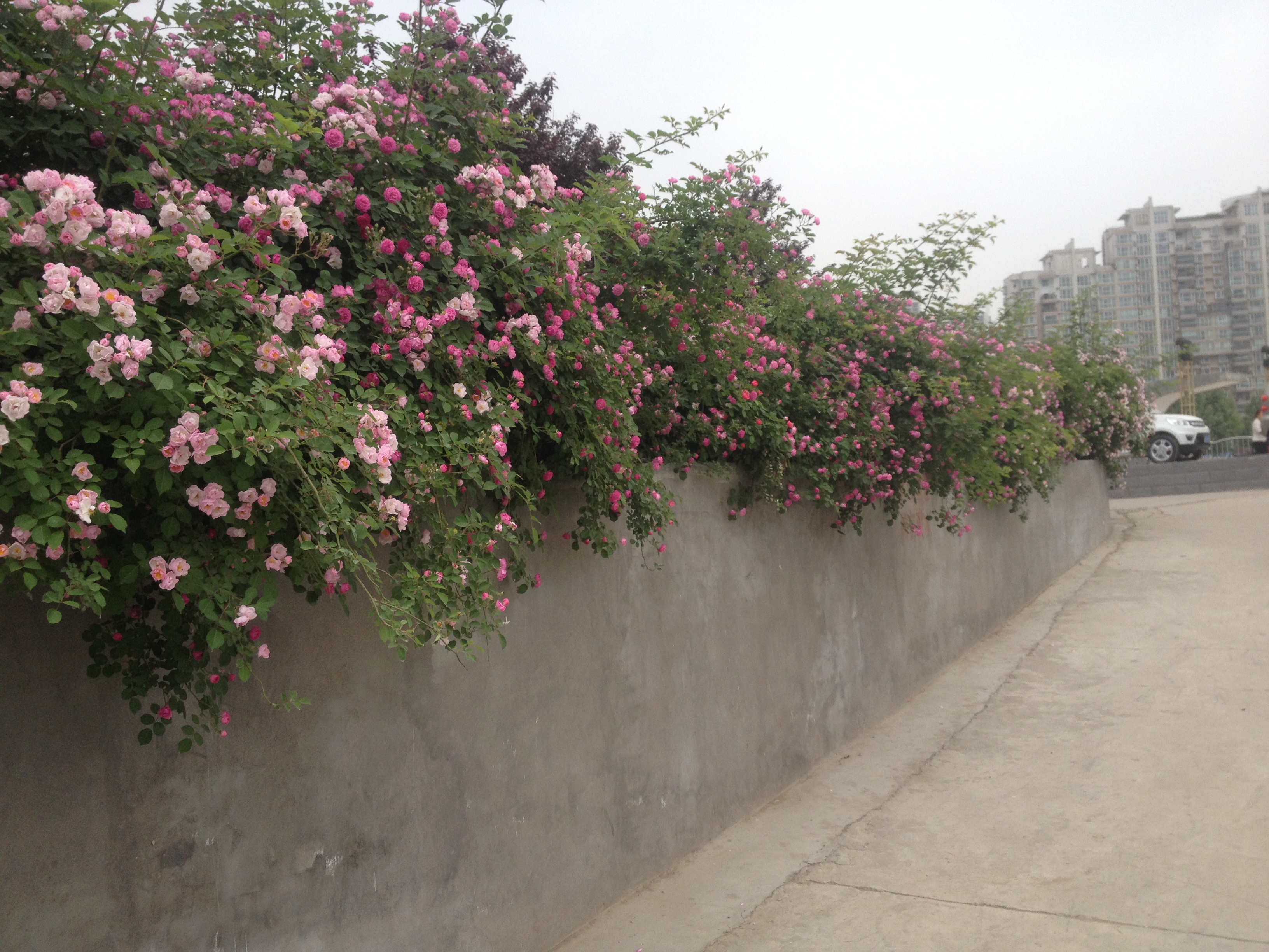 手脚心发热出汗是怎么回事,手脚心发热出汗多是什么原因