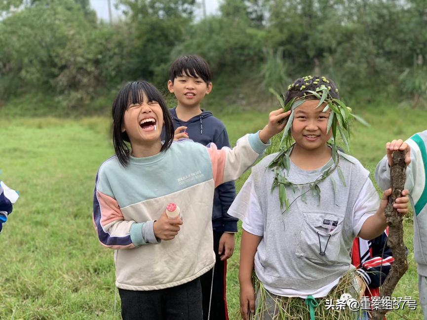 到乡野去：一所村小的自救与重生