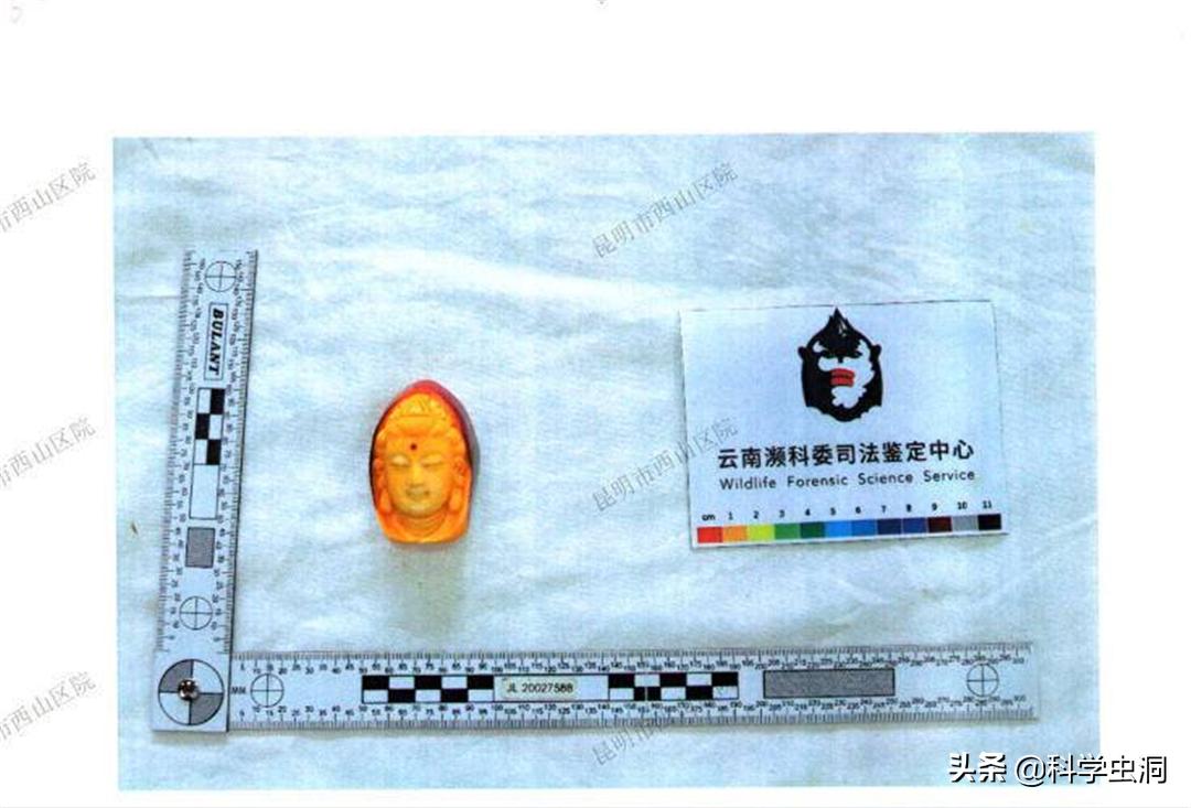 天津女子购买吊坠最终判决,天津女子购买项链吊坠获刑10年