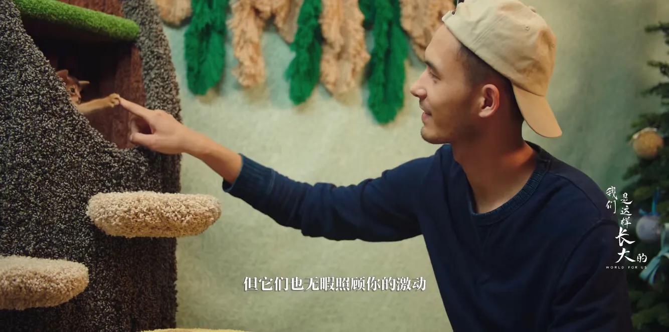 初来乍到请多安慰,初来乍到请多关照音频