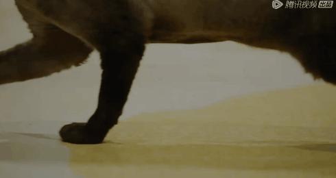 3起命案7人丧命,3起命案6人遇害