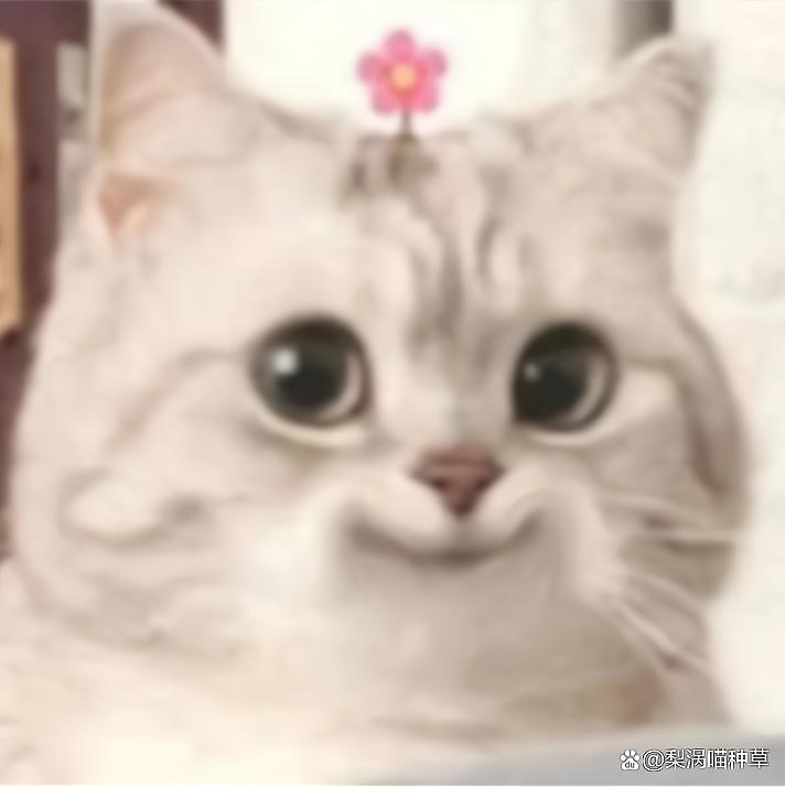 油皮护肤看起来油,油皮痘痘肌看过来