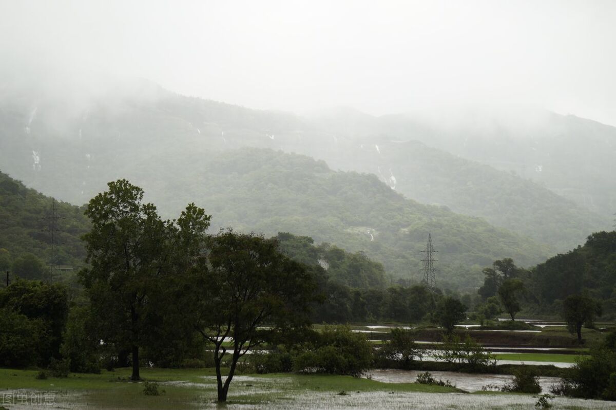 男科补肾养肝小妙招,补肾壮阳先调肾还是肝