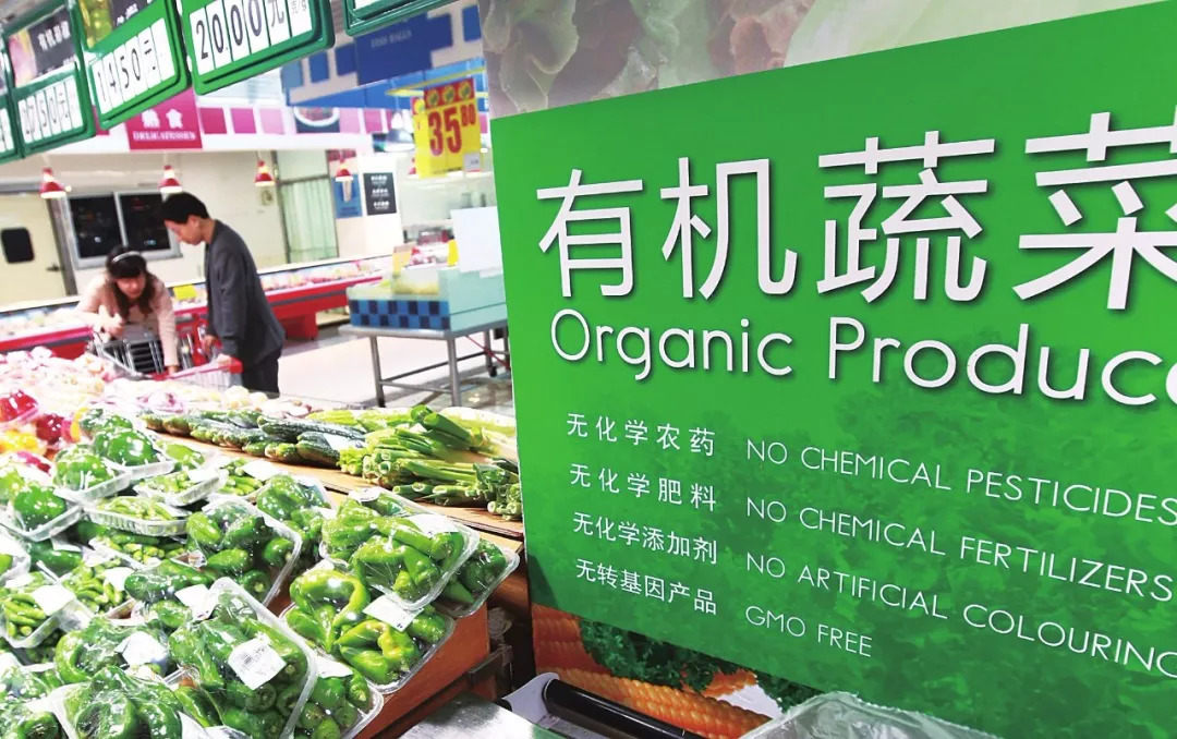 适合农村乡镇的创业小项目,农村创业做什么最适合