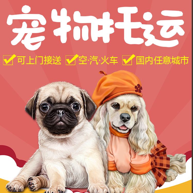 宠物托运公司靠什么赚钱,宠物托运是怎么赚钱的