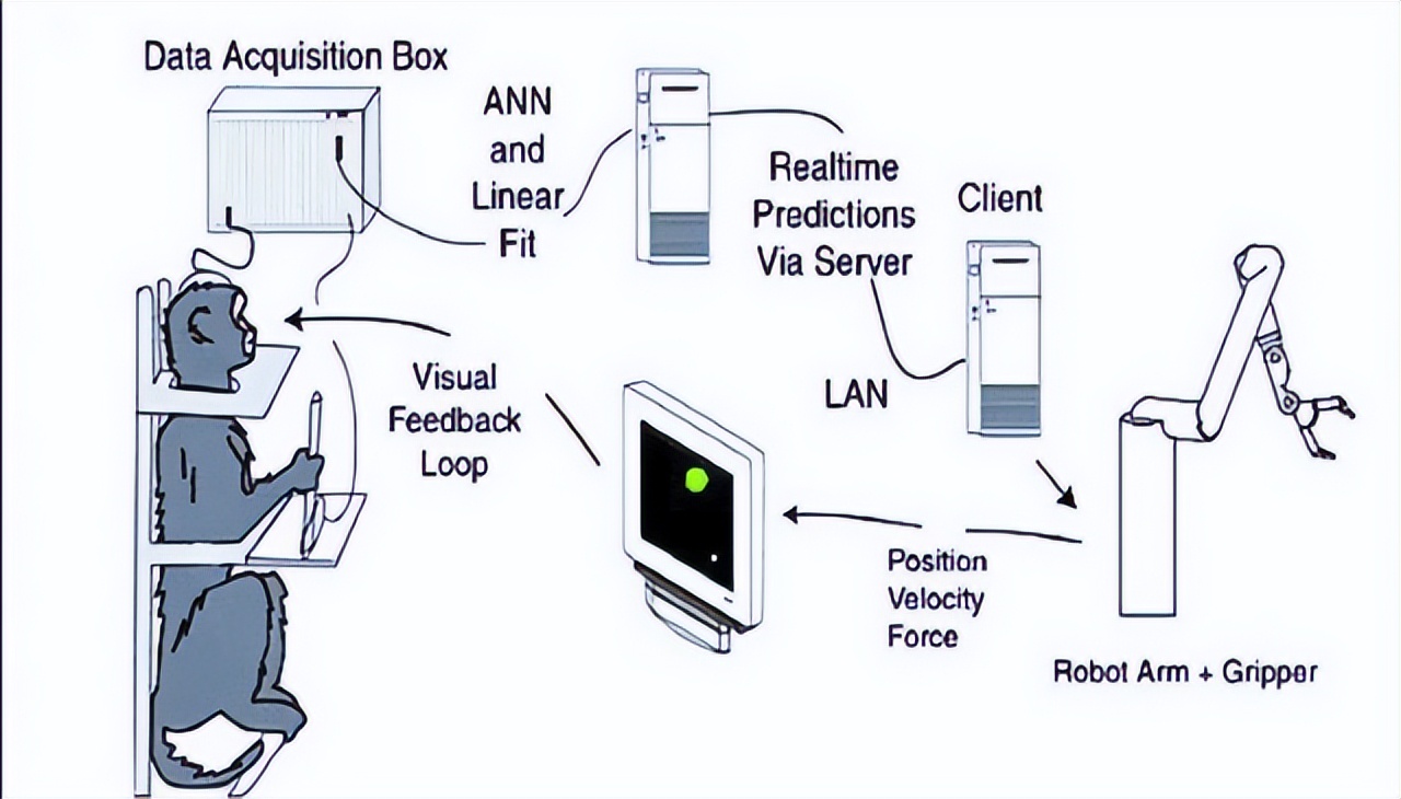 eva驾驶员要求,eva驾驶员是怎么驾驶的