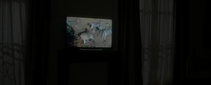 黄暴导演合作顶级女演员，情节狗血至极，无视道德底线，还被大赞