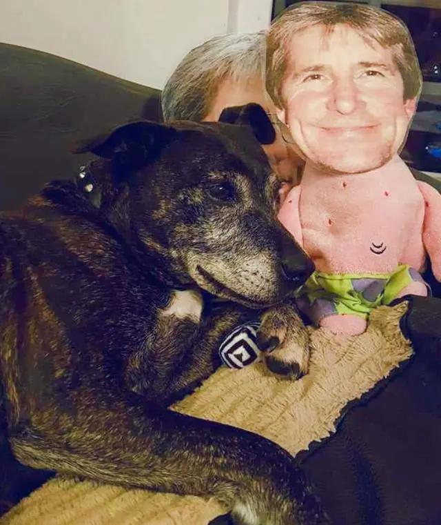 狗狗分离焦虑太严重,狗狗分离焦虑一不在家就拆家