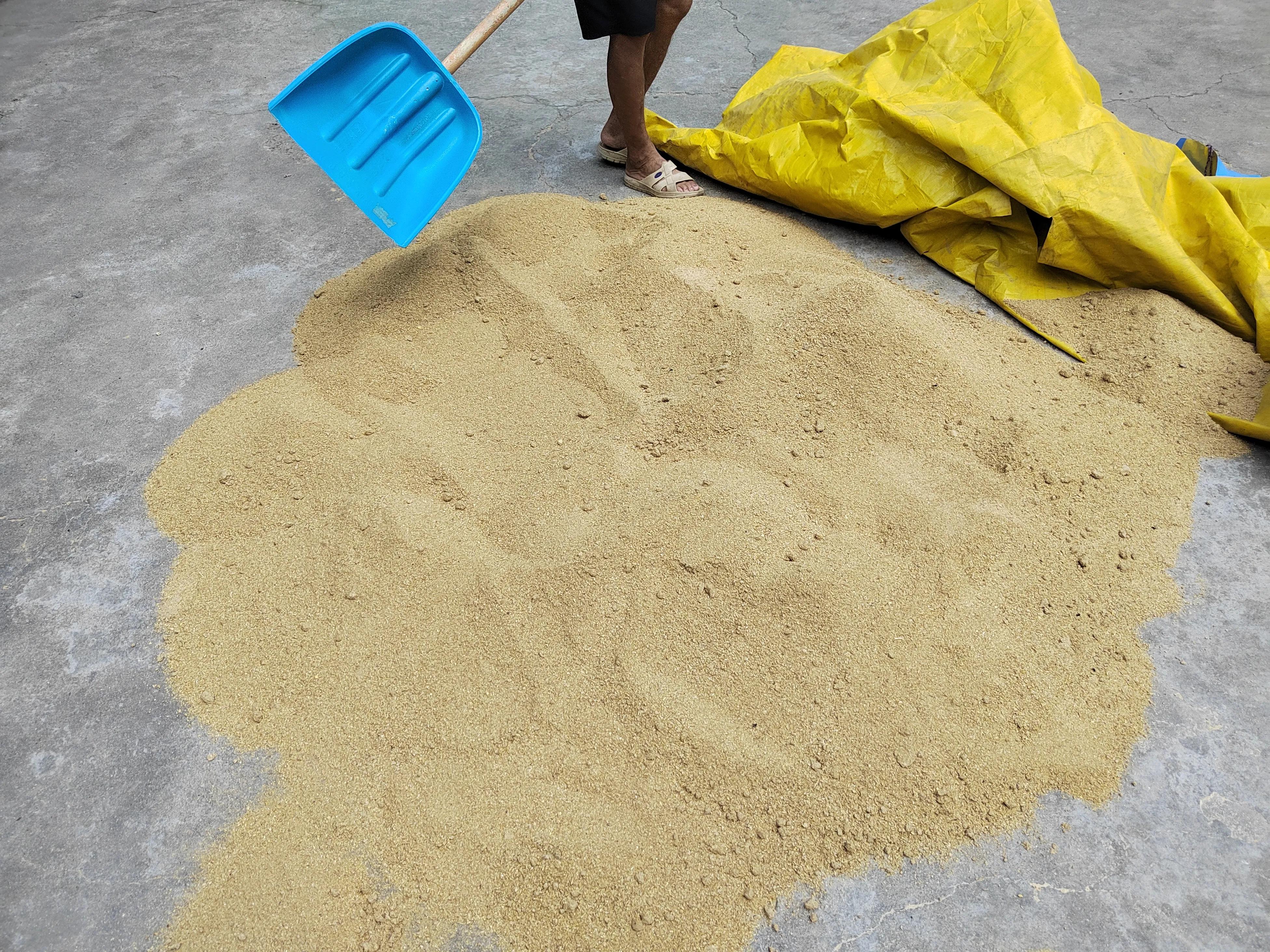 养猪赚近1000亿,养猪利润100万