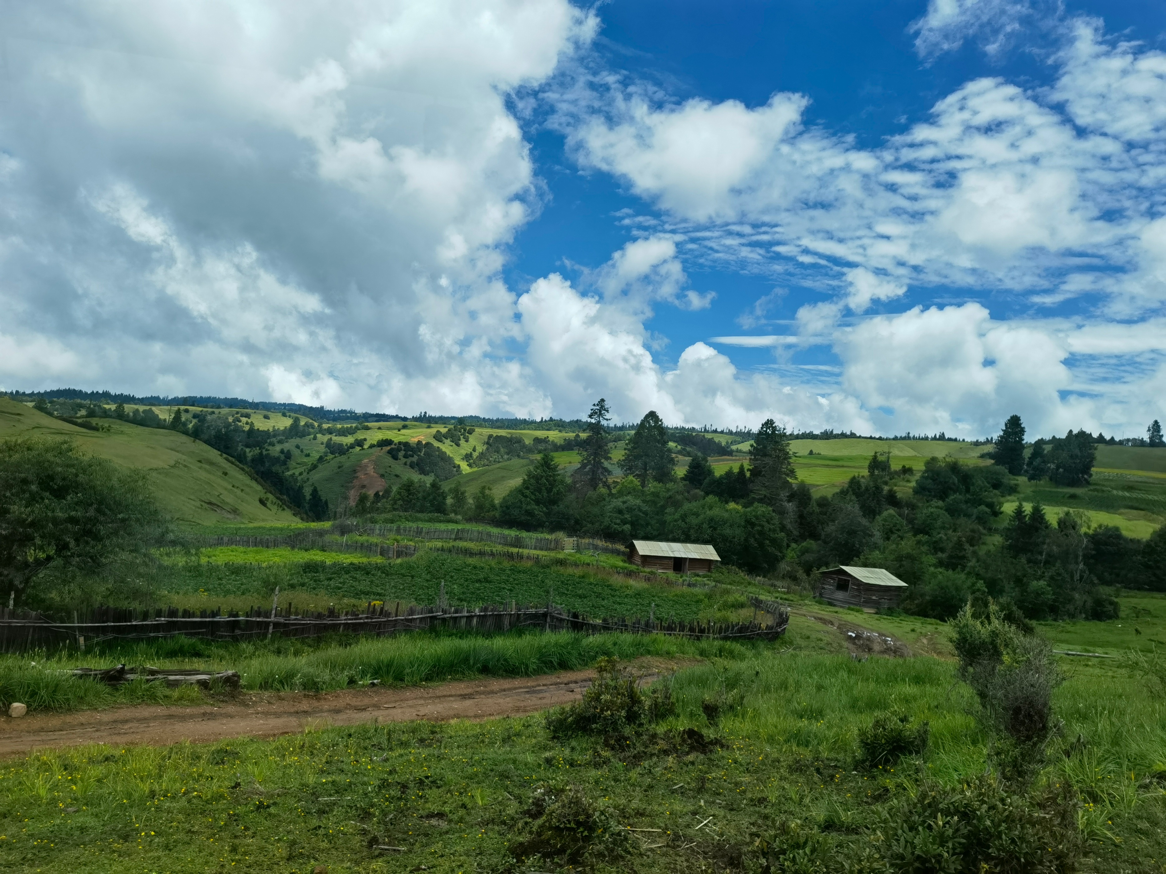 回想格拉丹，举杯对饮金沙石