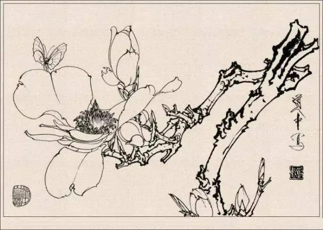 工笔草虫白描王道中,写意花鸟画草虫绘画过程分享