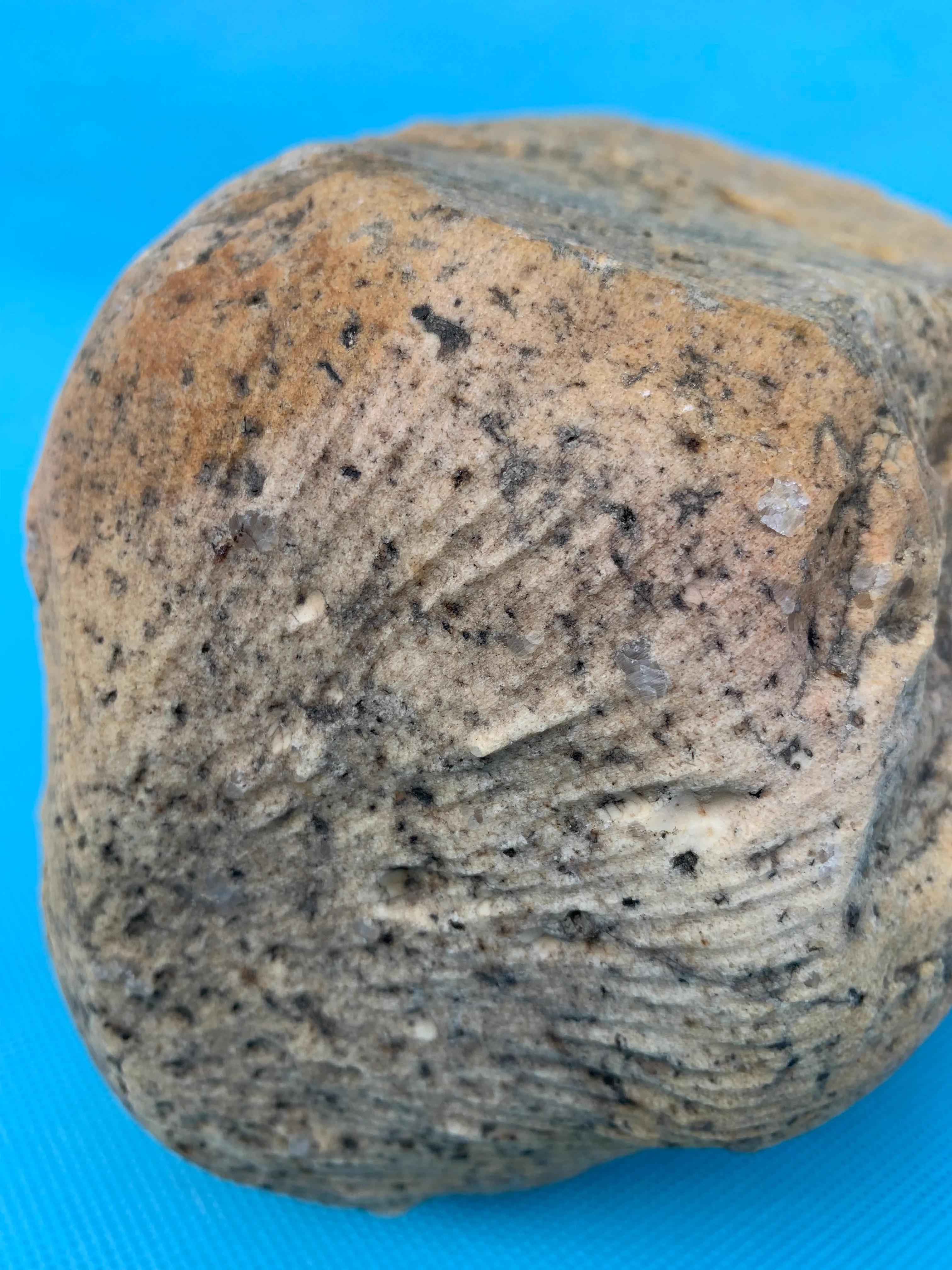 橄榄石球粒陨石和辉石球粒陨石,顽火辉石球粒陨石图片价格