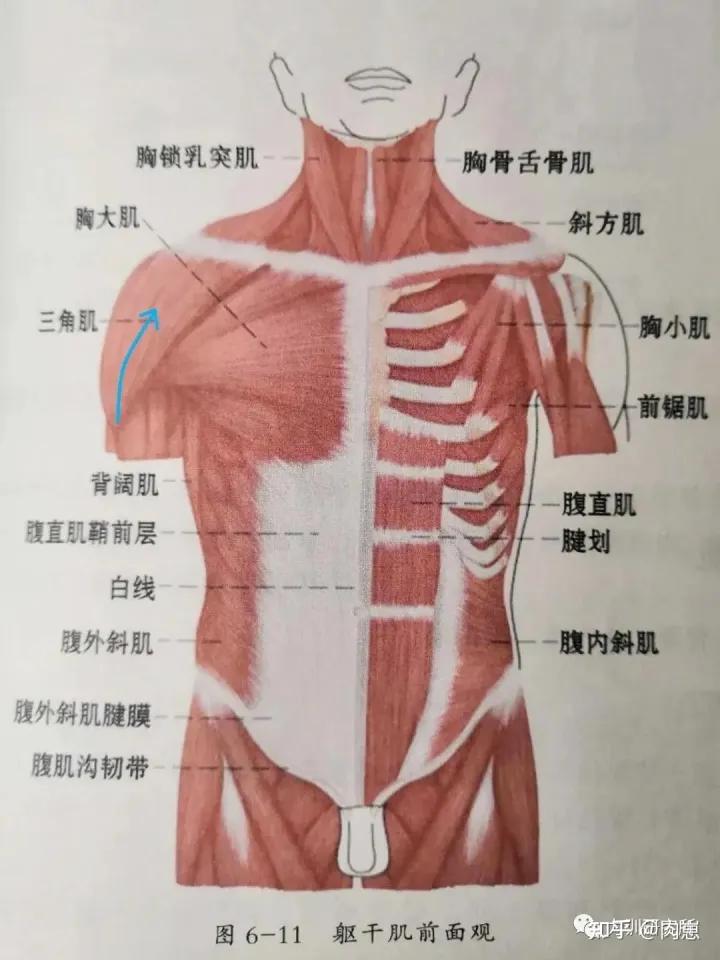 力训技术,力训思路