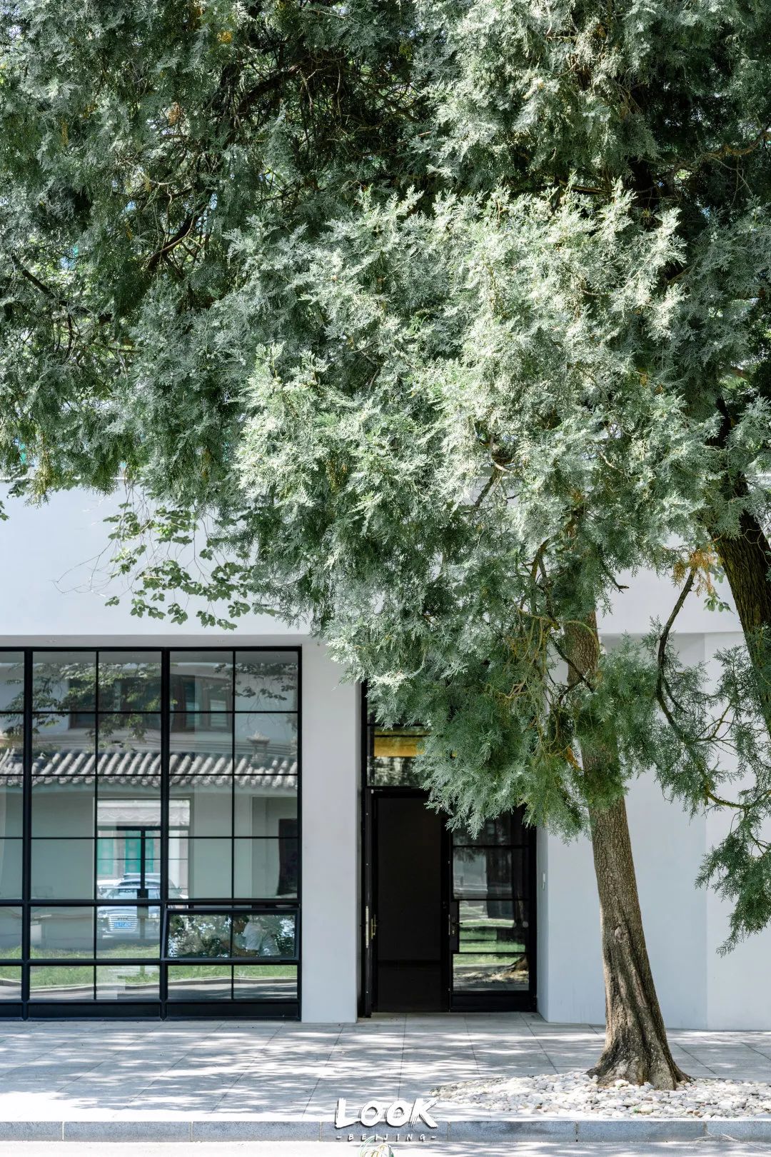 打卡500强喜爱的北京宝藏园区