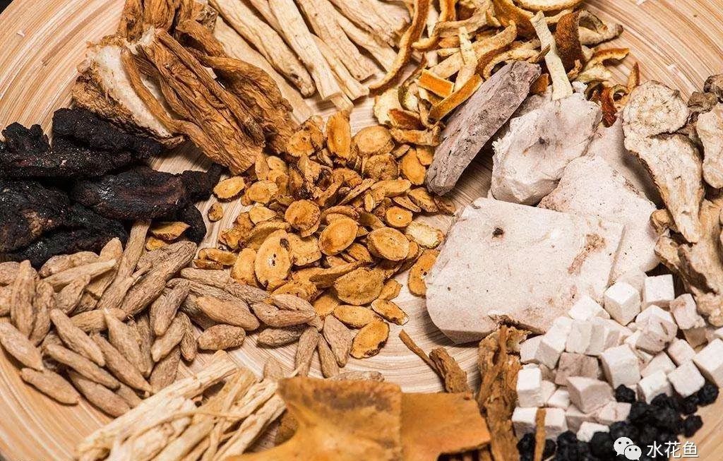 12种水产病害防治,你对水产动物病害的初步认识