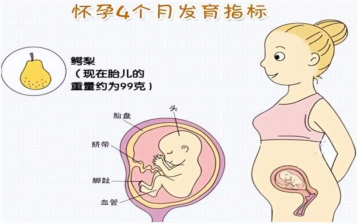 孕妈饮食禁忌都有哪些注意事项,怀孕40周胎儿变化及孕妈注意事项