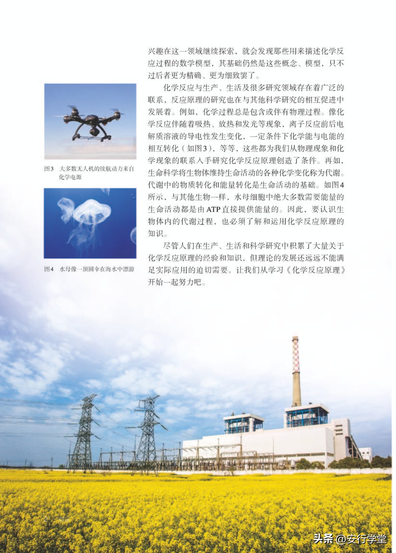 高中化学选修全套教学视频,人教版高中化学第一册