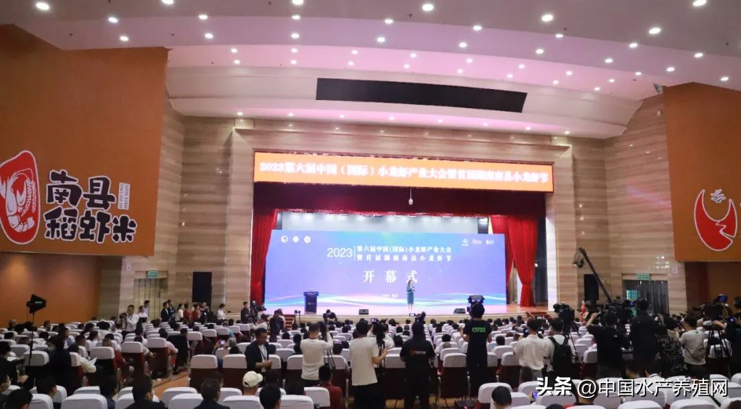 2023年南县小龙虾价格行情,南县小龙虾价格报价