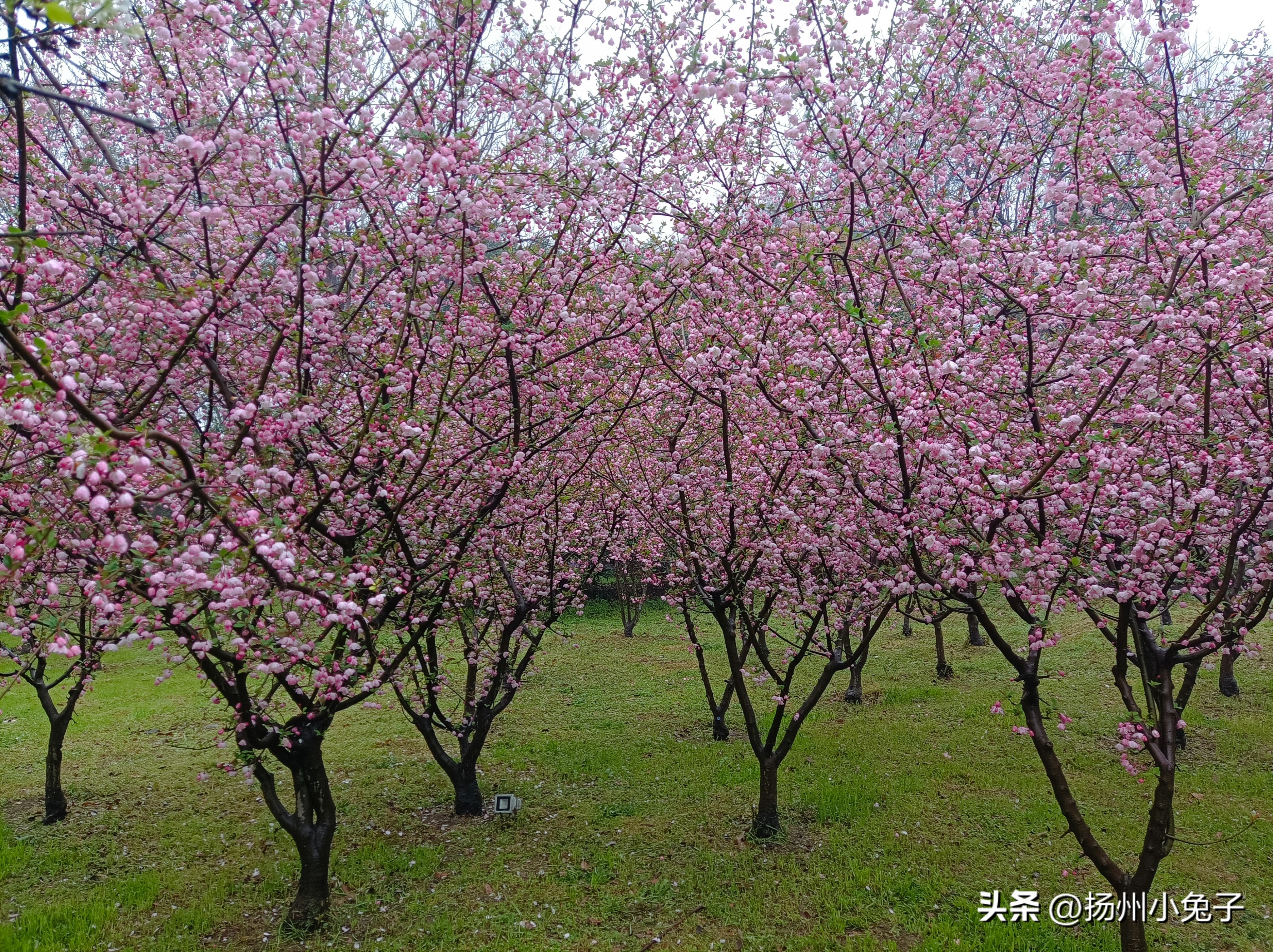 和闺蜜“皮包水”的美美体验,你有过没有?