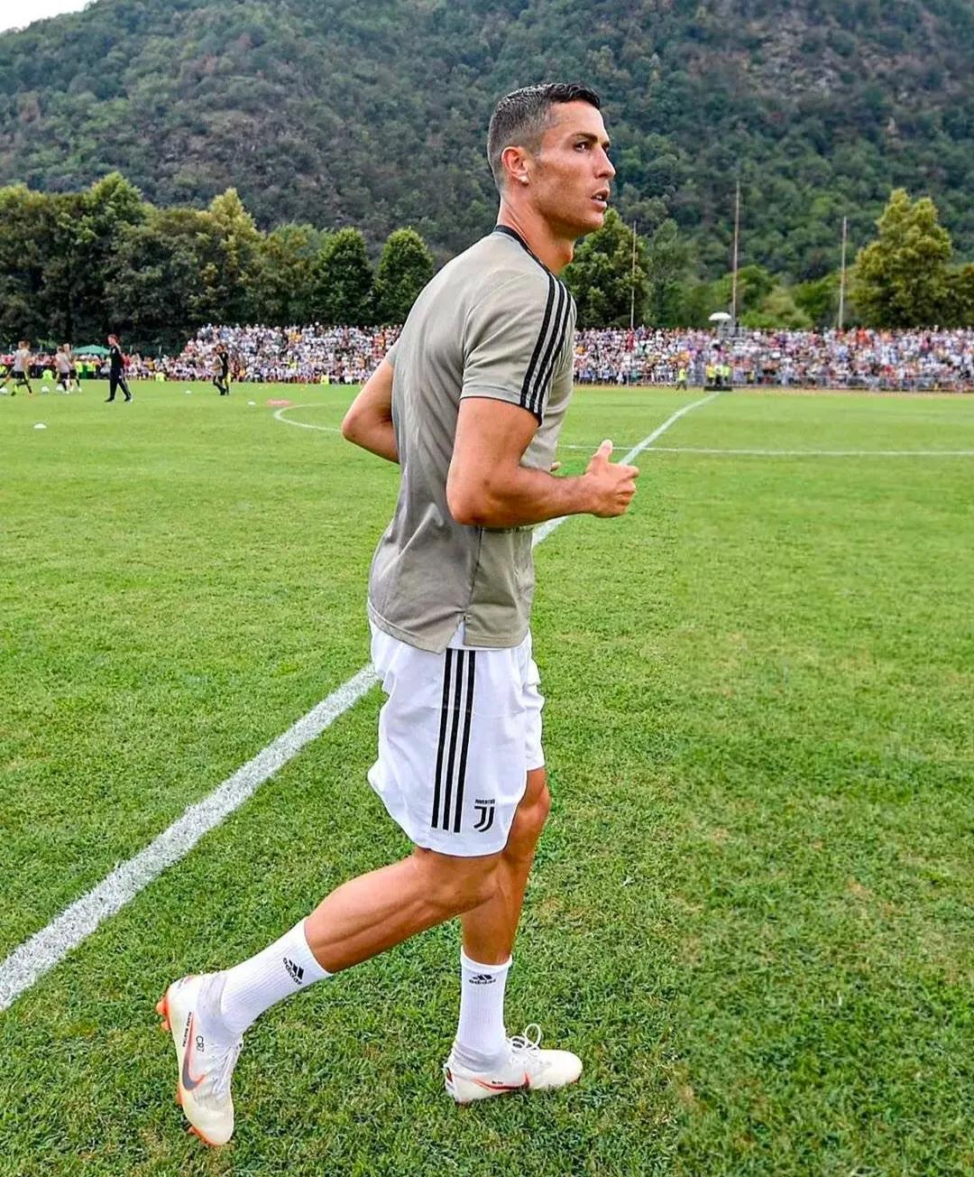 国王，终将归来；世界，皆须低眉