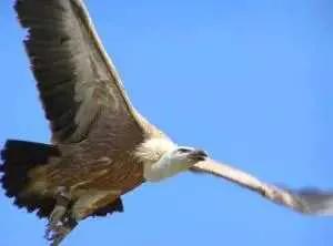 厄瓜多尔哪个国家最好,30秒厄瓜多尔队冷知识