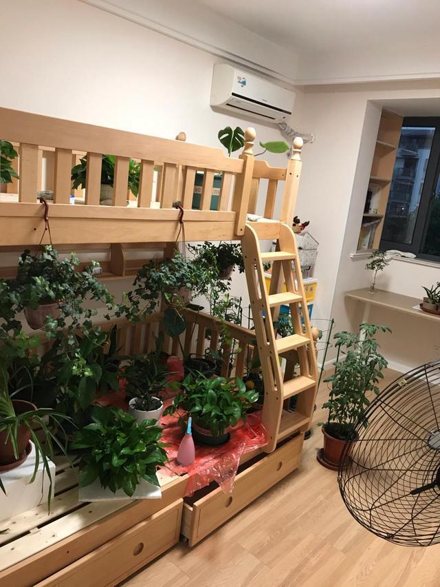 新房甲醛超标怎么除醛有效,室内环境苯甲醛及voc怎么去除