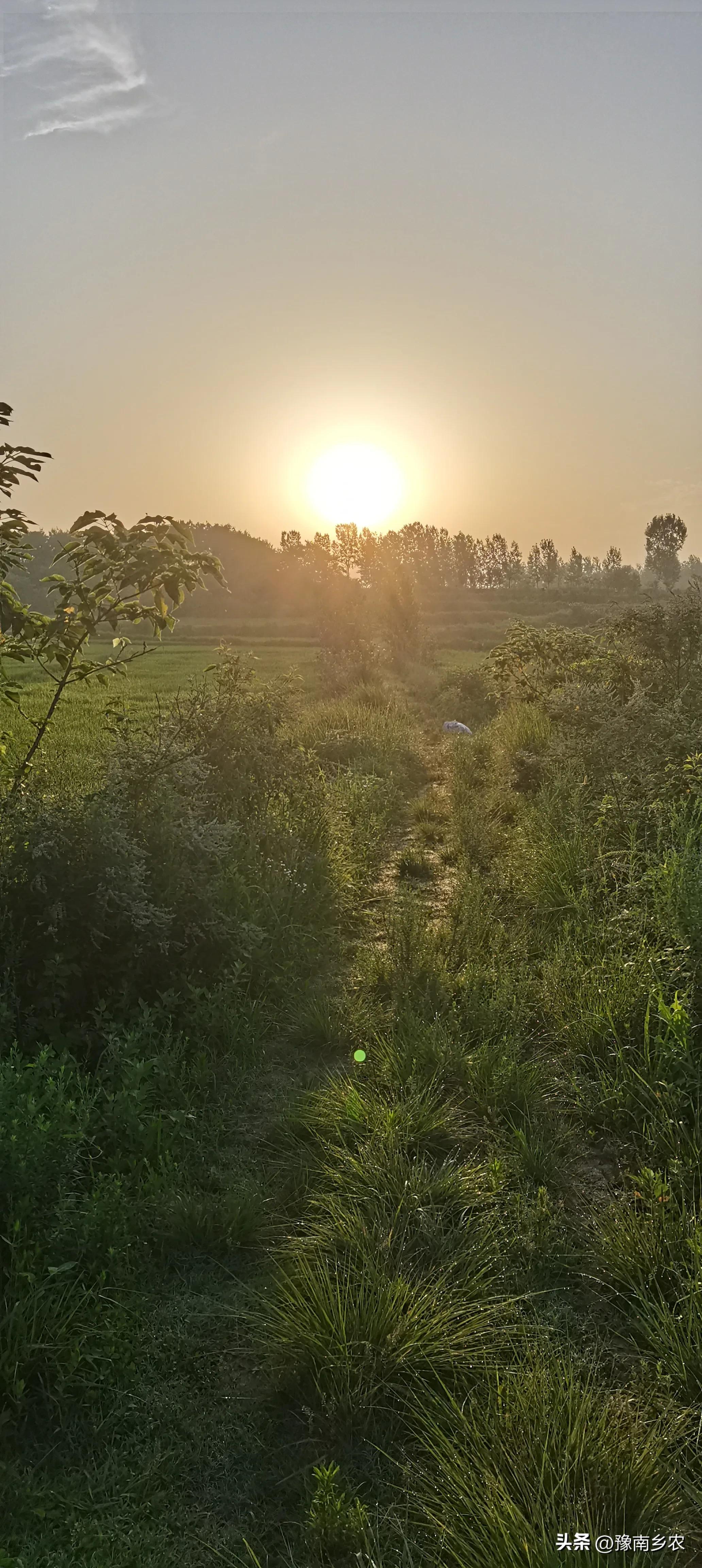 我当上门女婿39年60章,我60后当上门女婿39年140章